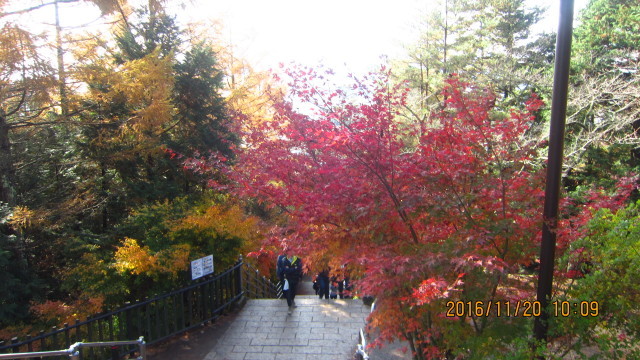 c0133096_21235074.jpg