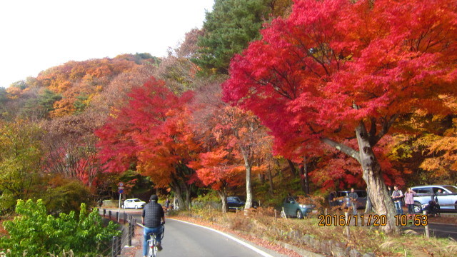 c0133096_21462539.jpg