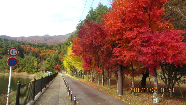 c0133096_21472510.jpg