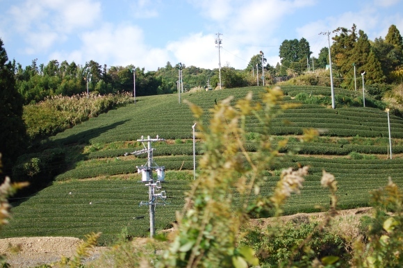 b0188998_00080707.jpg