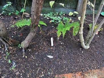 c0117898_13554115.jpg