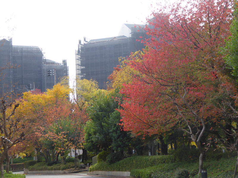 d0261298_00385847.jpg