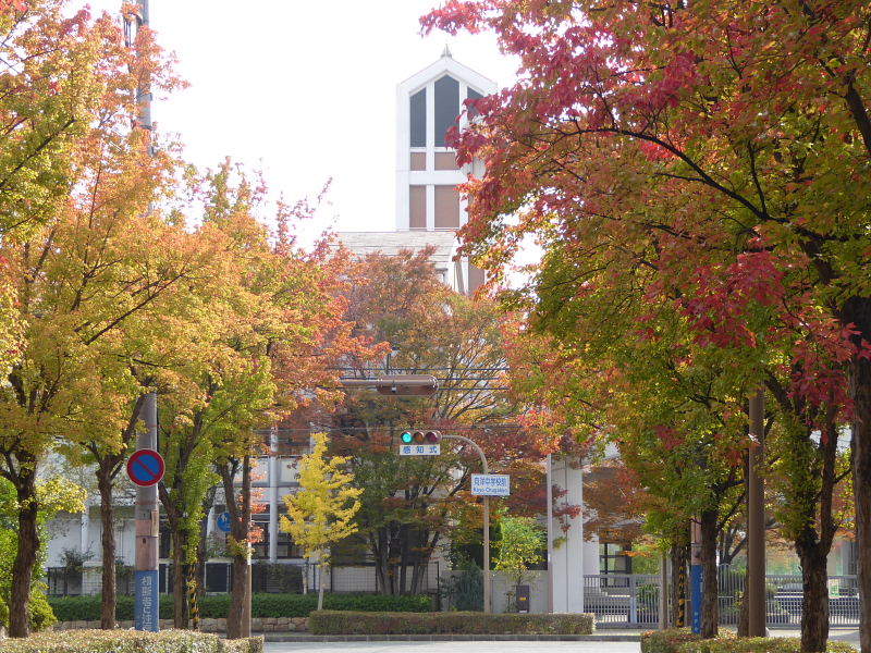 d0261298_00441624.jpg
