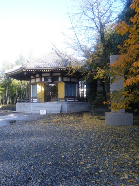 西新井大師(總持寺)_c0123401_14484894.jpg