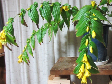 a0203003_21422336.jpg