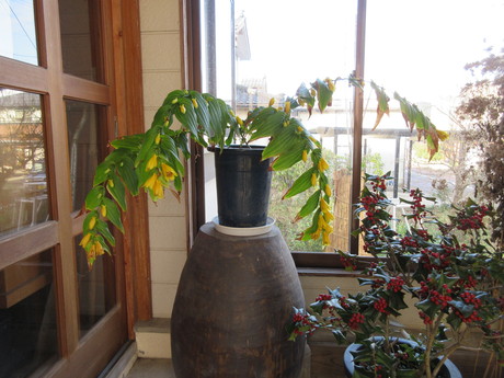 a0203003_21431921.jpg