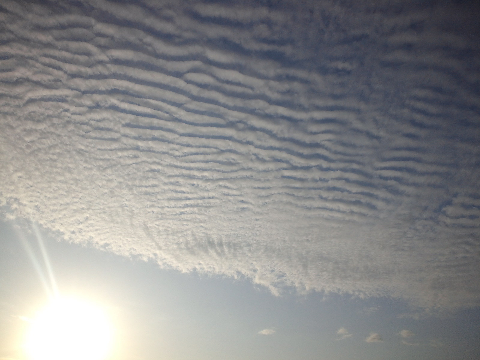 c0336907_22404838.jpg