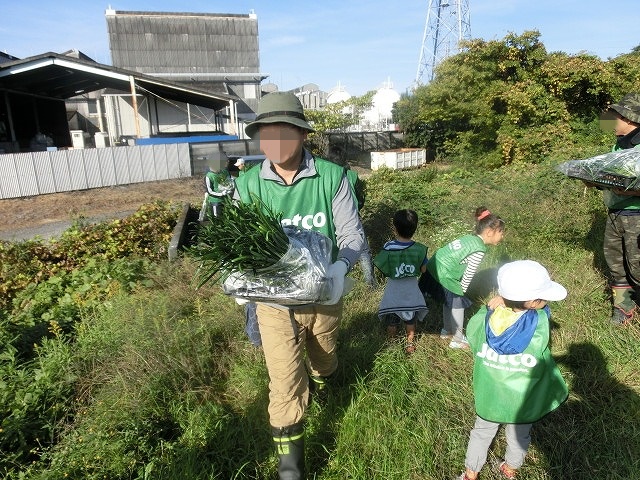 滝川の土手150mにヒガンバナの球根2,000球をジヤトコの皆さんと植付け 「そうだ!沼川プロジェクト」_f0141310_7282521.jpg