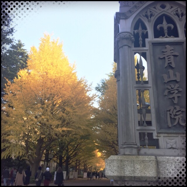 c0026612_10232572.jpg