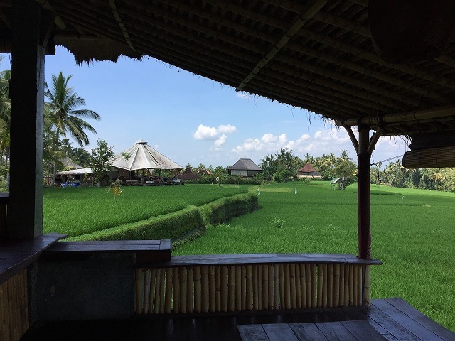 d0224712_08242210.jpg