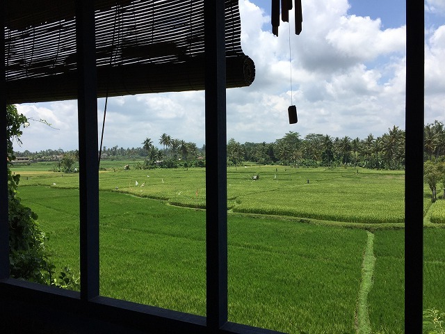 d0224712_10385078.jpg
