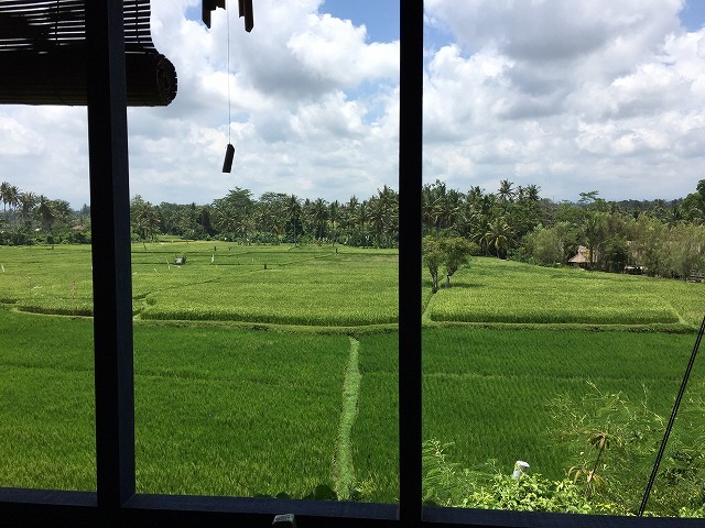 d0224712_10442631.jpg