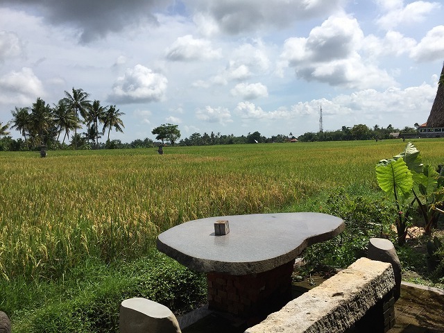 d0224712_11053994.jpg