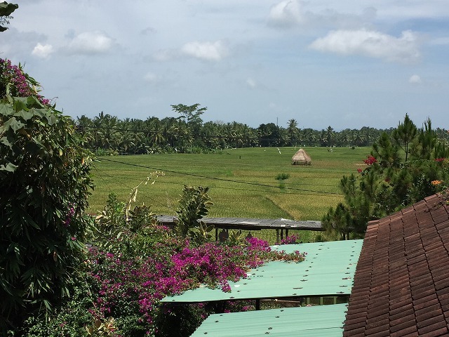 d0224712_15310665.jpg
