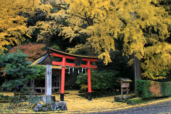 紅葉探訪15 落葉神社から中川町_e0048413_2033079.jpg