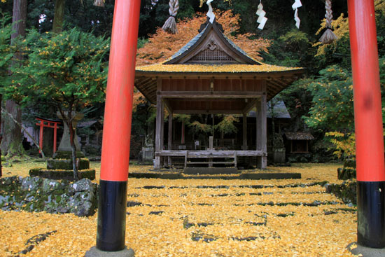 紅葉探訪15 落葉神社から中川町_e0048413_20331342.jpg