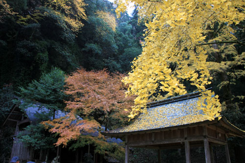 紅葉探訪15　落葉神社から中川町_e0048413_20332636.jpg