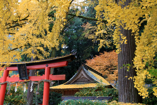 紅葉探訪15 落葉神社から中川町_e0048413_20335248.jpg