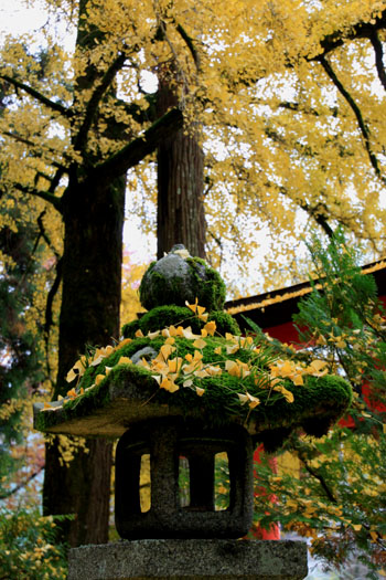 紅葉探訪15 落葉神社から中川町_e0048413_203442.jpg
