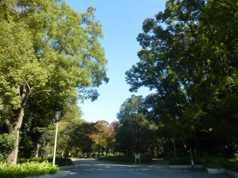 a0162815_17044049.jpg