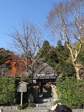 f0000521_5585957.jpg