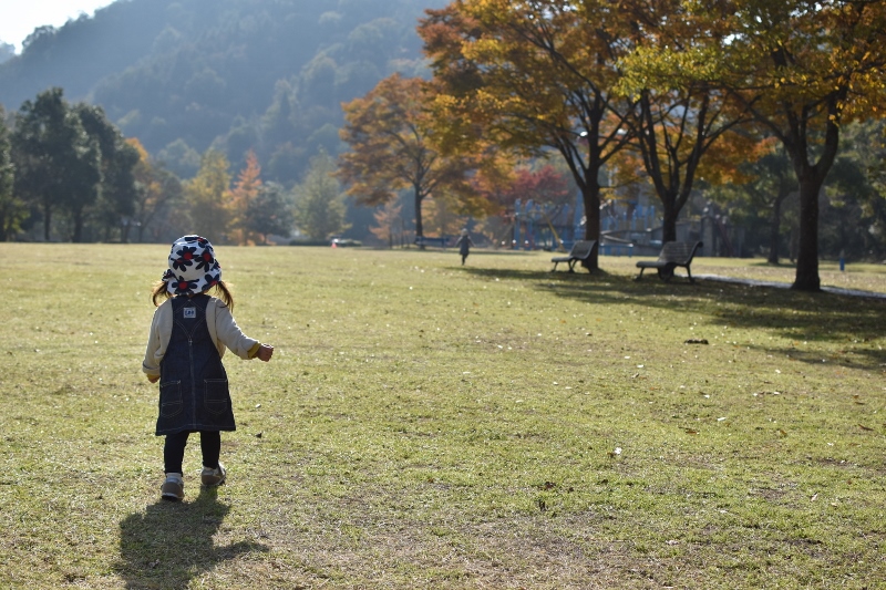 秋色に染まる公園で大はしゃぎ_a0274324_5462391.jpg