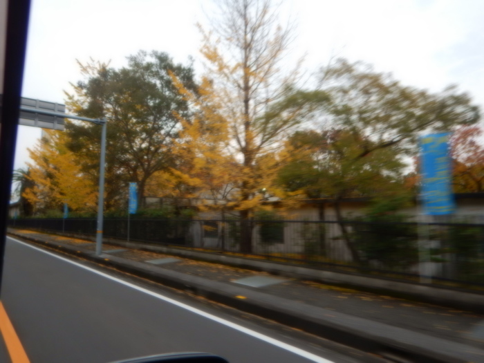 a0248230_19145132.jpg