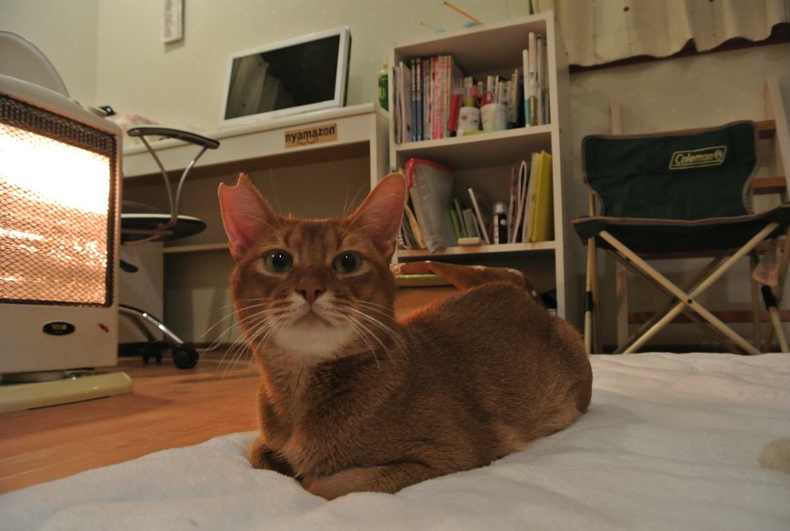 a0099131_14315050.jpg