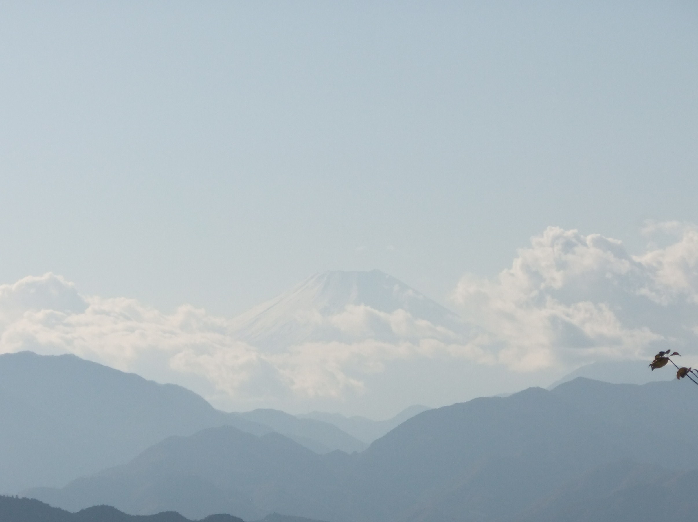 b0137932_21112618.jpg