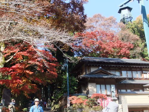b0137932_21343543.jpg