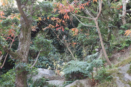 d0184535_6174132.jpg