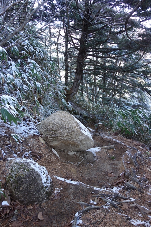 a0287336_0241437.jpg