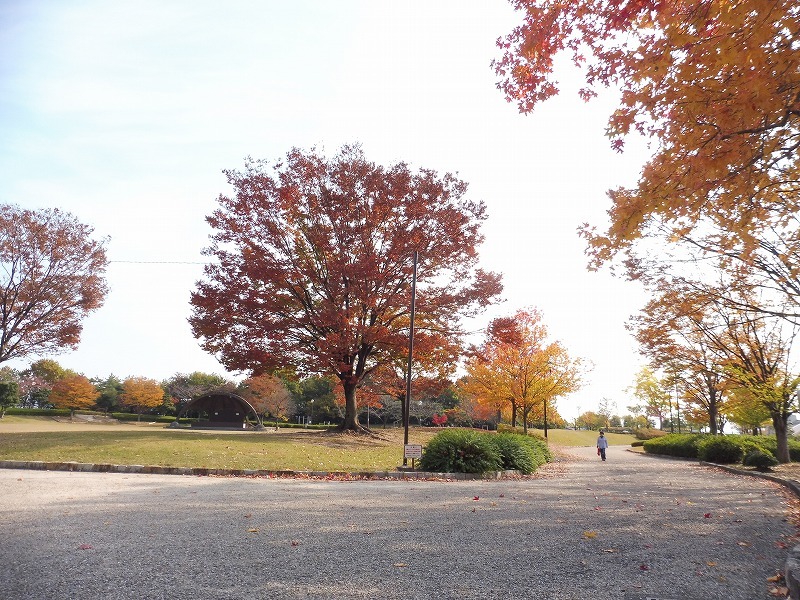 桃花台中央公園の紅葉_b0286737_06284727.jpg