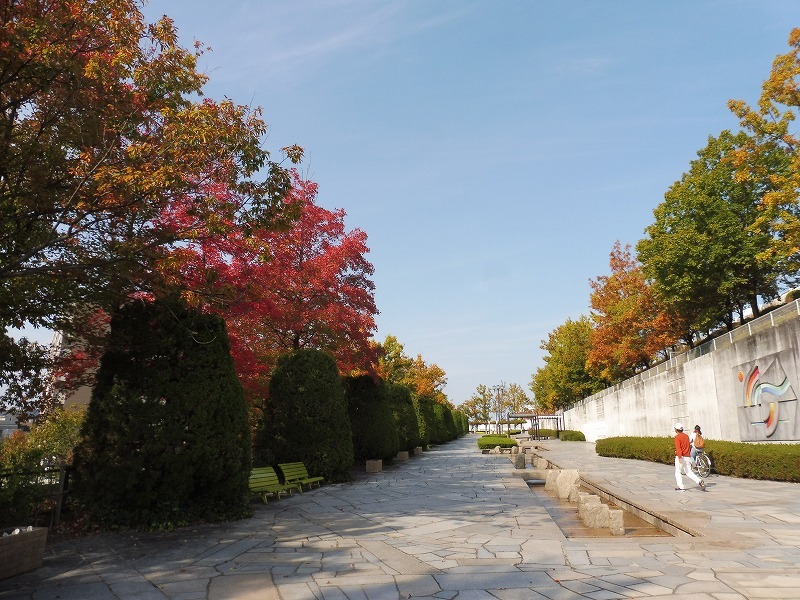 桃花台中央公園の紅葉_b0286737_06342820.jpg