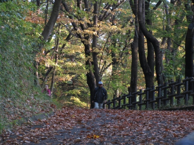 保土ケ谷公園周辺と 水の旅 4 神奈川徒歩々旅