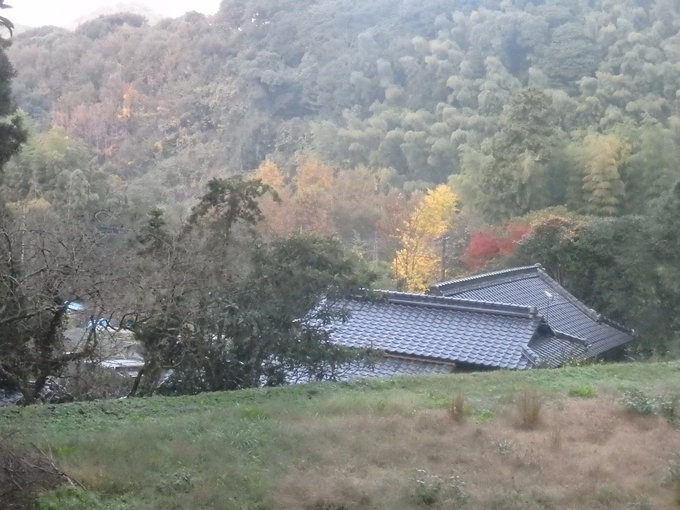 a0054240_20143015.jpg