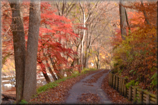 紅葉2016　＠上野村_f0363141_8345457.jpg