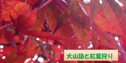 c0128342_12302844.jpg