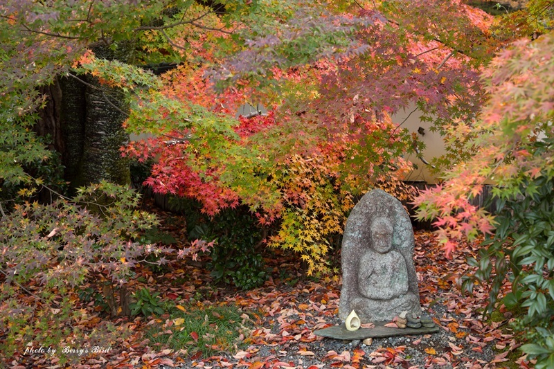 e0173743_18331130.jpg