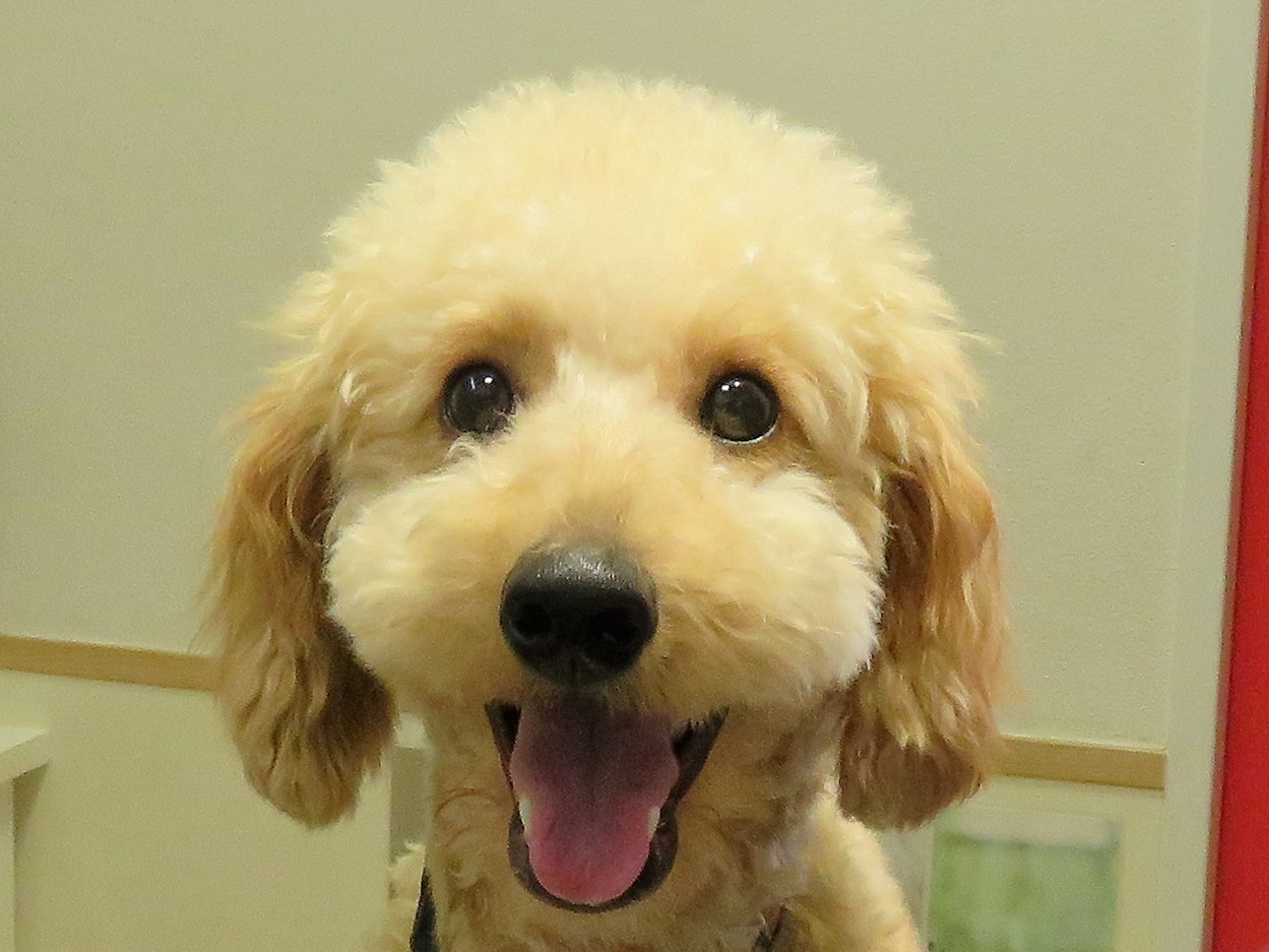 　11　月　22　日の写真_c0174644_19521307.jpg