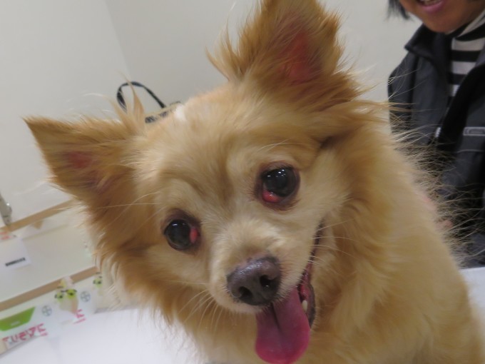 　11　月　22　日の写真_c0174644_19523455.jpg
