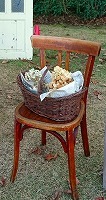 f0210750_14120918.jpg