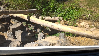 f0235252_23294994.jpg