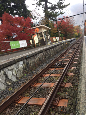 厚木から車で秋の箱根へGO.80分のドライブで早川のせせらぎをBGMに鯛めしと紅葉を楽しんだ帰りに厚木で【猪鍋（ししなべ】はいかが？_f0364153_11505919.jpg