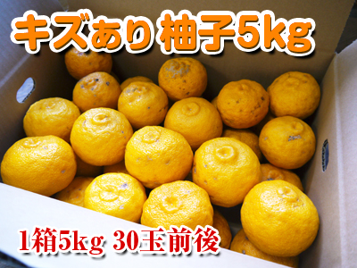 令和3年度の冬至の「柚子風呂」用柚子(ゆず)ご予約承り中!数量限定!お届け日次第ではまもなく締め切り!お急ぎください! _a0254656_17115140.jpg