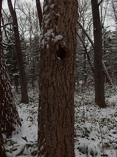 e0004756_2141109.jpg