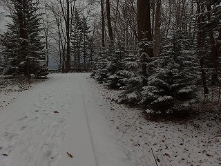 e0004756_21505188.jpg