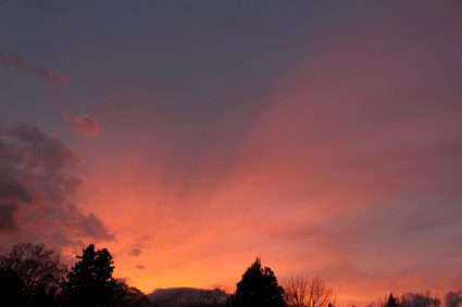 b0129758_10371089.gif