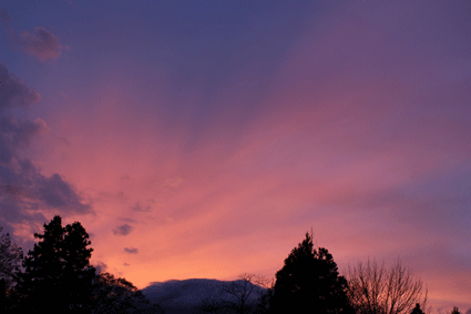 b0129758_1037730.gif