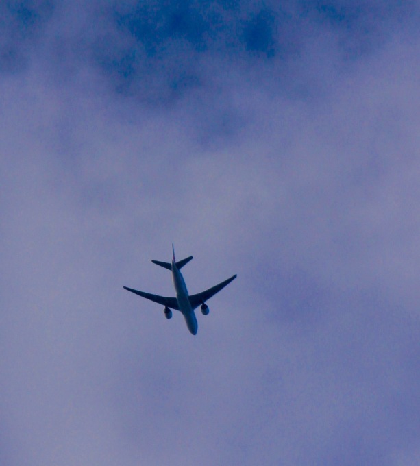 a0248459_15262729.jpg